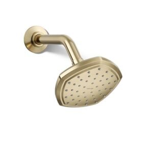 Occasion 1-Spray Patterns 2.5 GPM 5.2 in. Wall Mount Fixed Shower Head in Vibrant French Gold