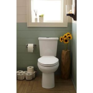 H2Option 2-Piece 0.92/1.28 GPF Dual Flush Elongated Toilet with Liner in White, Seat Not Included