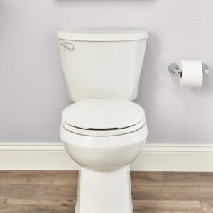 Reliant Two-Piece 1.28 GPF Single Flush Round Standard Height Toilet with Slow-Close Seat in White