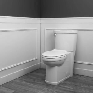 Cadet 3 Decor Tall Height 2-Piece 1.28 GPF Single Flush Elongated Toilet with Seat in White, Seat Included