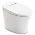 white-anzzi-bidet-toilets-tl-stsf851wh-64_1000
