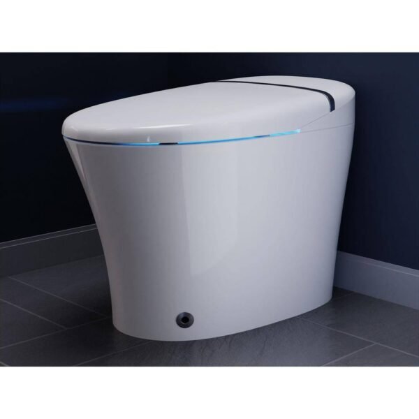 white-anzzi-bidet-toilets-tl-stsf851wh-a0_1000