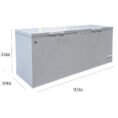 white-cooler-depot-commercial-freezers-dxxbd850-e1_1000