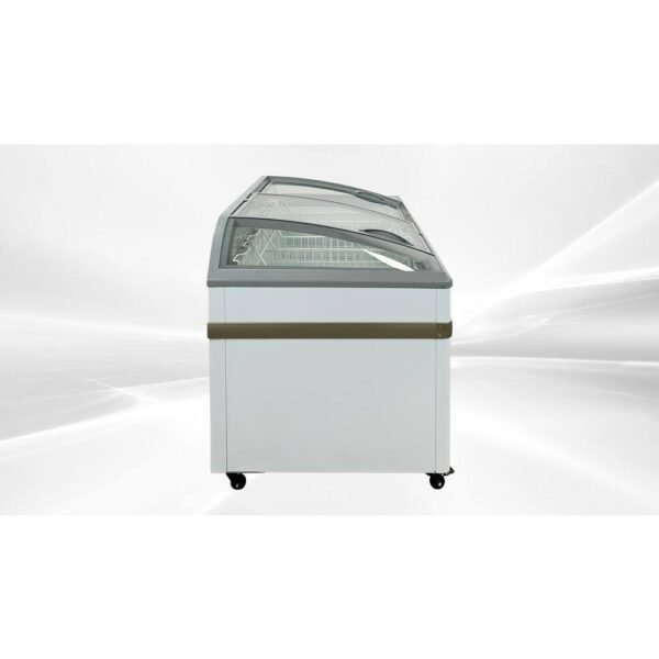 white-cooler-depot-commercial-freezers-dxxsdsc600-40_1000