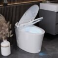 white-deervalley-bidet-toilets-dv-1s0019-v3-64_1000
