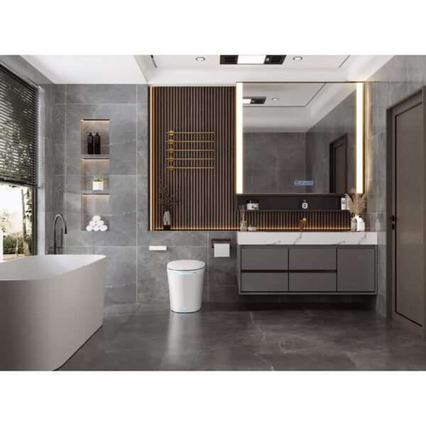 white-deervalley-bidet-toilets-dv-1s0019-v3-e1_1000