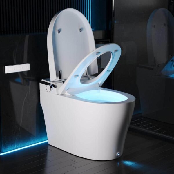 white-deervalley-bidet-toilets-dv-1s0029-v3-64_1000