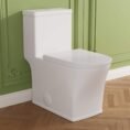 white-deervalley-one-piece-toilets-dv-1f0229-64_1000