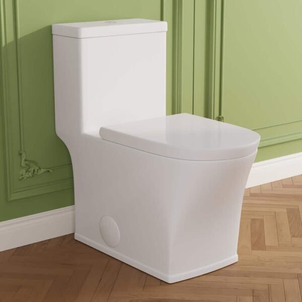 white-deervalley-one-piece-toilets-dv-1f0229-64_1000