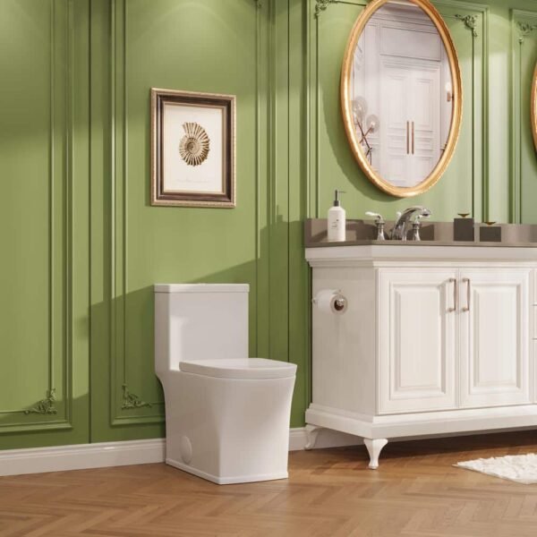 white-deervalley-one-piece-toilets-dv-1f0229-e1_1000