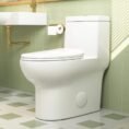 white-deervalley-one-piece-toilets-dv-1f026r-64_1000