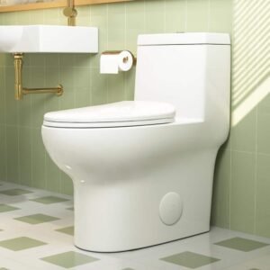 Ally 10 in. Rough in Size 1-Piece 1.1/1.6 GPF Dual Flush Elongated Toilet in White, Seat Included