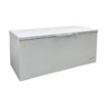 white-elite-kitchen-supply-commercial-freezers-bd520-64_1000