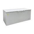 white-elite-kitchen-supply-commercial-freezers-bd520-e1_1000