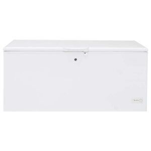 Garage Ready 21.7 cu. ft. Chest Freezer in White, ENERGY STAR