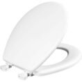 white-glacier-bay-toilet-seats-30450-000-64_1000