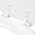 white-glacier-bay-toilet-seats-30450-000-e1_1000
