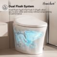 white-hanikes-one-piece-toilets-ze10-40_1000