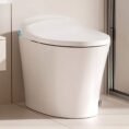 white-hanikes-one-piece-toilets-ze10-64_1000