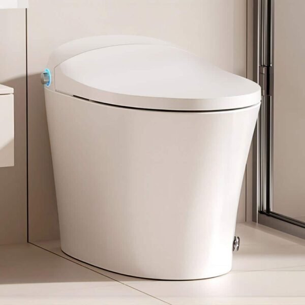 white-hanikes-one-piece-toilets-ze10-64_1000