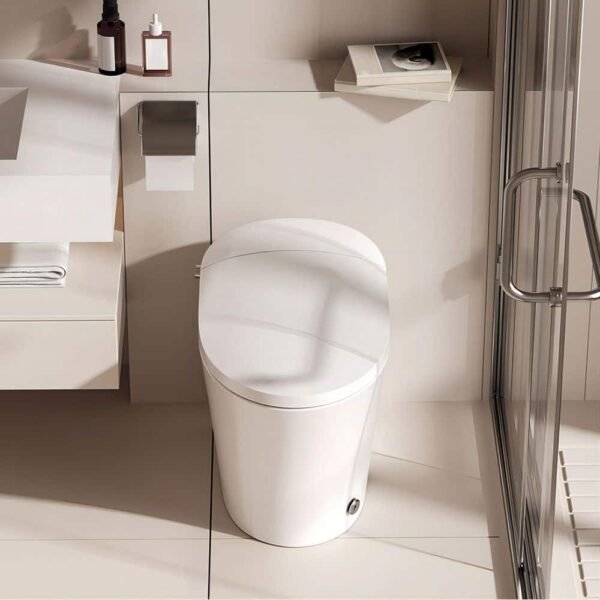 white-hanikes-one-piece-toilets-ze10-e1_1000