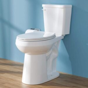 21 in. Extra Tall 2-Piece Toilet Single Flush 1.28 GPF Round Height Toilet in White Tall Toilet 12 in. Rough In