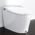 white-horow-bidet-toilets-hr-0005-64_1000