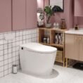 white-horow-bidet-toilets-hr-0005-e1_1000