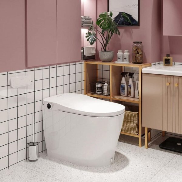 white-horow-bidet-toilets-hr-0005-e1_1000
