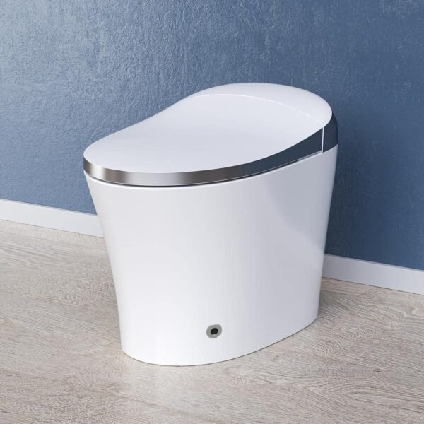 white-horow-bidet-toilets-hr-0020y-64_1000
