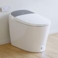 white-horow-bidet-toilets-t03-wt-64_1000