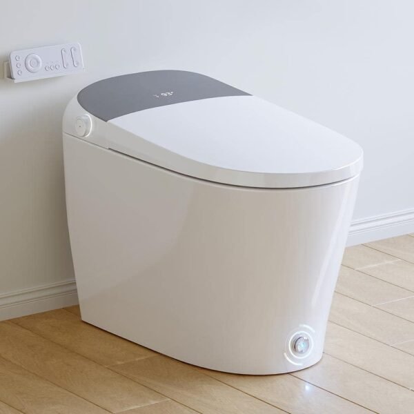 white-horow-bidet-toilets-t03-wt-64_1000