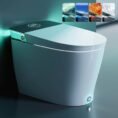 white-horow-bidet-toilets-t38-64_1000