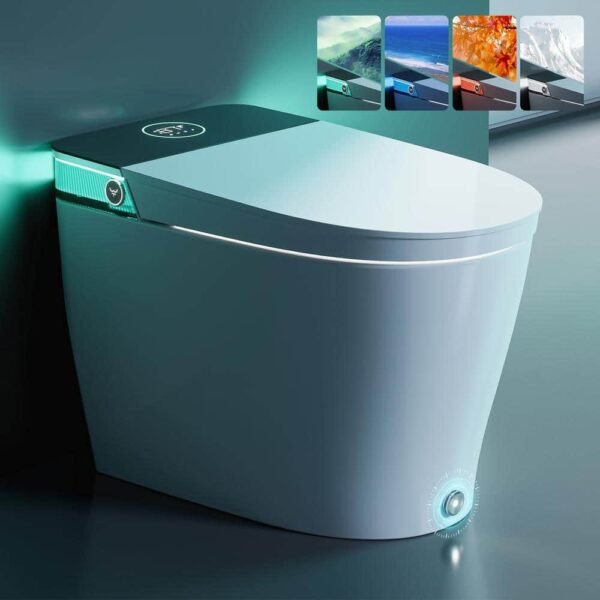 white-horow-bidet-toilets-t38-64_1000
