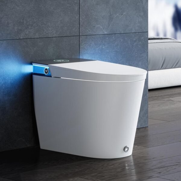 white-horow-bidet-toilets-t38p-64_1000