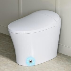 1-piece 1/1.27 GPF Dual Flush Elongated Toilet in White, Seat Included