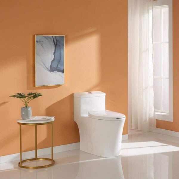 white-horow-one-piece-toilets-hr-0038w-e1_1000
