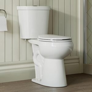 19 in. ADA Tall 2-piece High-Efficiency 1.1/1.6 GPF Dual Flush Round Toilet in White Map Flush 1000g, Seat Included