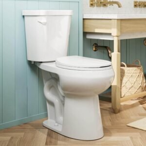 19 in. ADA Tall 2-piece 1.28 GPF Single Flush Round Toilet in White Map Flush 1000g, Soft-Close Seat Included