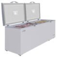 white-koolmore-commercial-freezers-2lfc-24cf-1d_1000