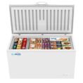 white-koolmore-commercial-freezers-krcf-60-64_1000