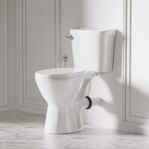 Rear Flush Toilet 19 in. ADA White 2-Piece P-Trap, Comfort Height Seat for Bathroom, 1.6 GPF Single Flush, Round Bowl