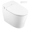 white-moen-bidet-toilets-et900-64_1000