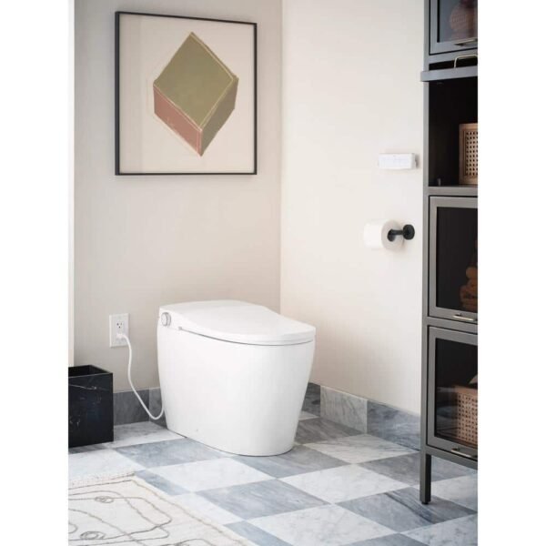 white-moen-bidet-toilets-et900-e1_1000