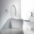 white-mueller-one-piece-toilets-st-550-77_1000