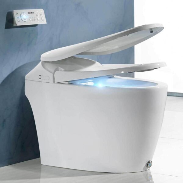 white-mueller-one-piece-toilets-st-550-e1_1000
