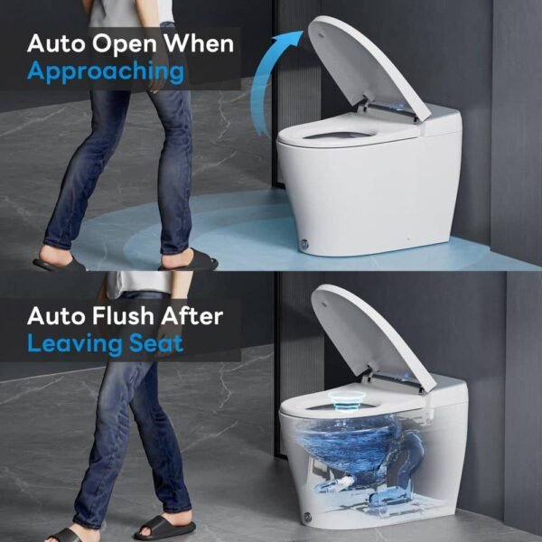 white-silver-temp-display-casta-diva-bidet-toilets-cd-y090a-a0_1000