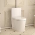 white-simple-project-one-piece-toilets-hd-us-mt-2-e1_1000