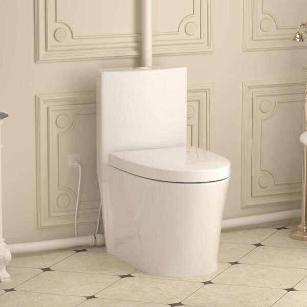 white-simple-project-one-piece-toilets-hd-us-mt-2-e1_1000