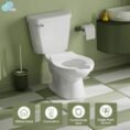 white-simple-project-two-piece-toilets-hd-us-kt-1-03-4f_1000